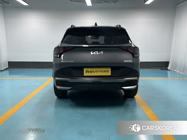 Kia Lion Platinum expands the world 2024 Темно-серый из Китая