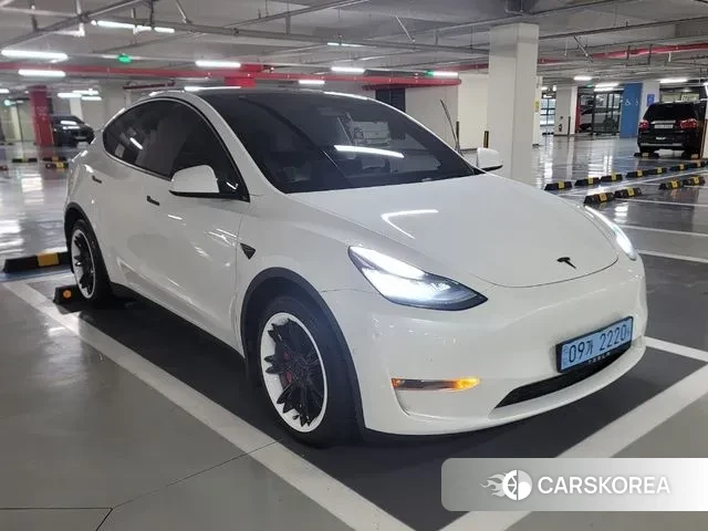 Tesla Model Y 2021 Белый из Кореи