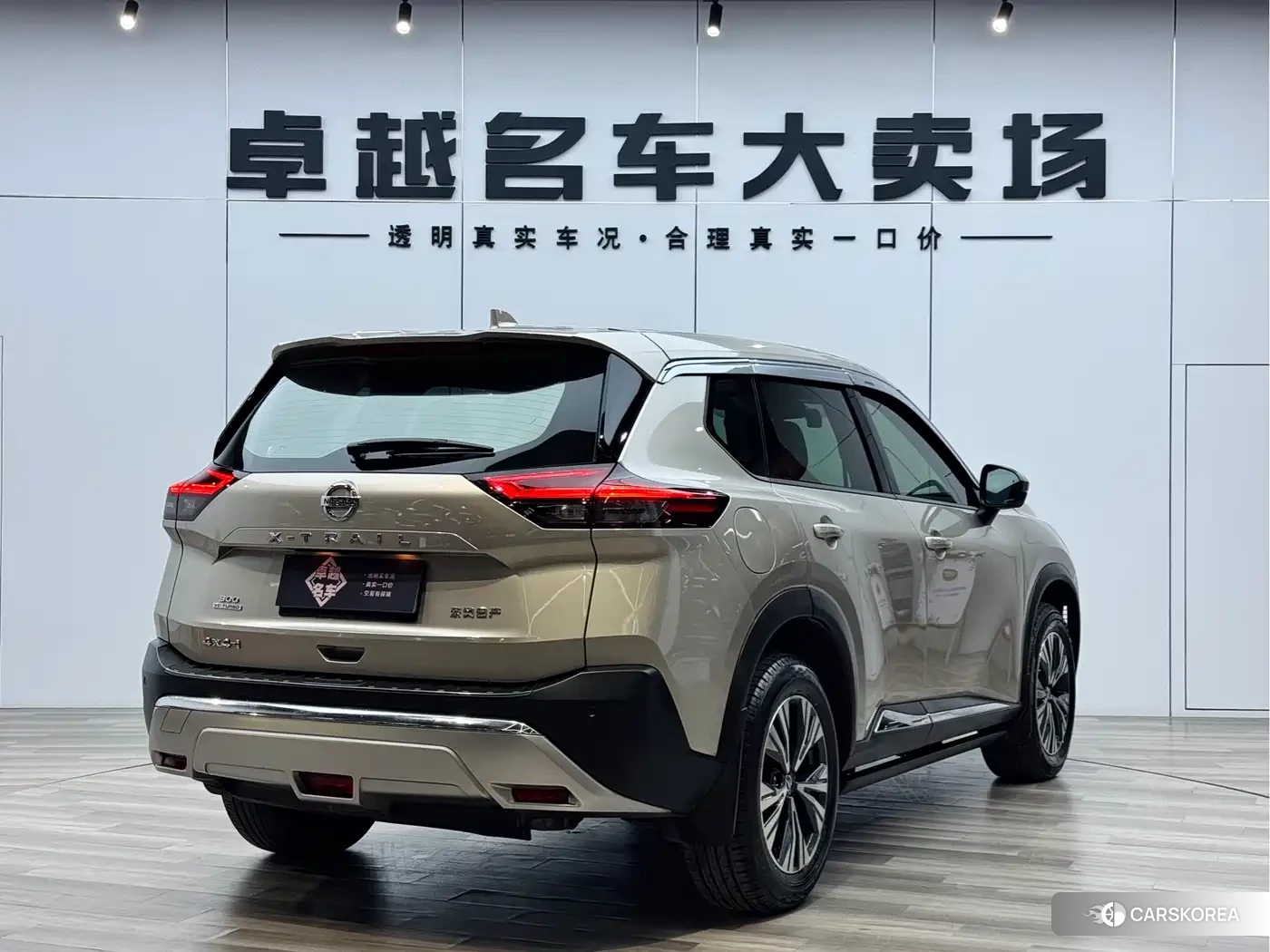 Nissan X-Trail 2021 Champagne/brown из Китая