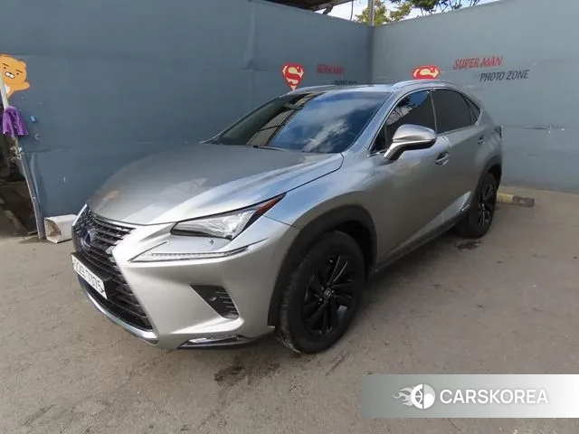 Lexus NX300 2018 Серебристо-серый из Кореи