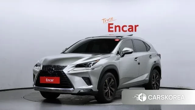 Lexus NX300h 2019 Серый из Кореи