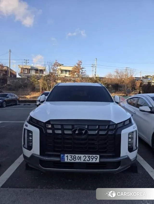 Hyundai The New Palisade 2024 Белый из Кореи