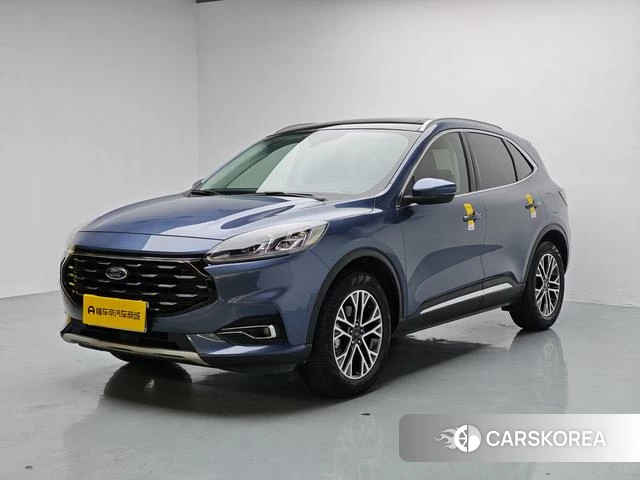 Ford Ruiji 2023 Синий из Китая
