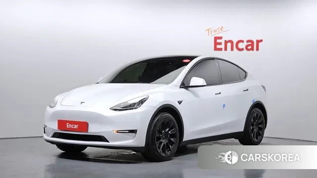 Tesla Model Y 2022 Белый из Кореи