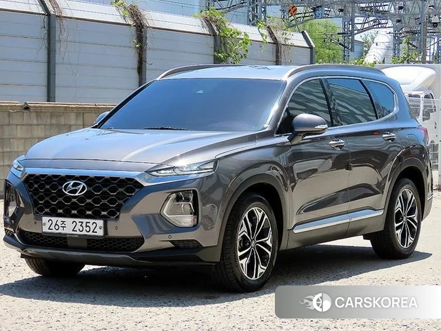 Hyundai Santa Fe TM 2019 Цвет тростника из Кореи