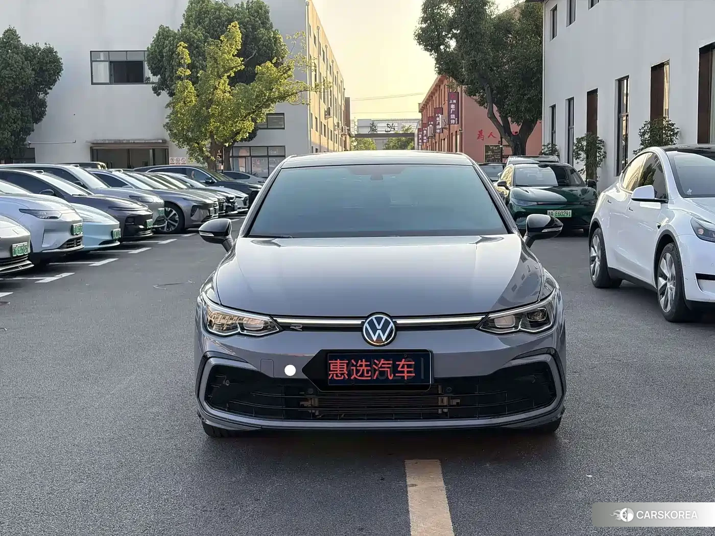 Volkswagen Golf 2024 Silver/gray из Китая