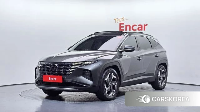 Hyundai Tucson (NX4) 2022 Серый из Кореи
