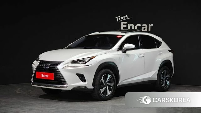 Lexus NX300h 2019 Белый из Кореи