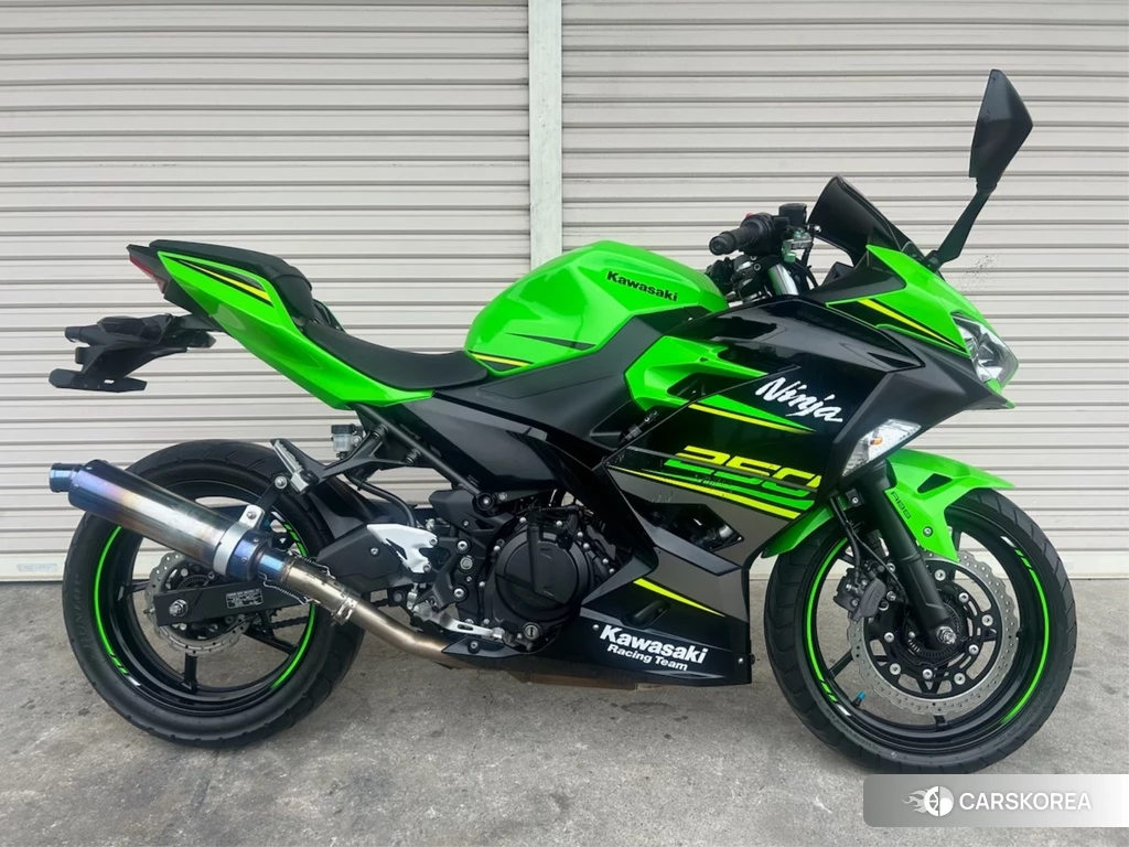 Проданный OTHER Ninja 250 ABS 2018 из Японии, фото 2