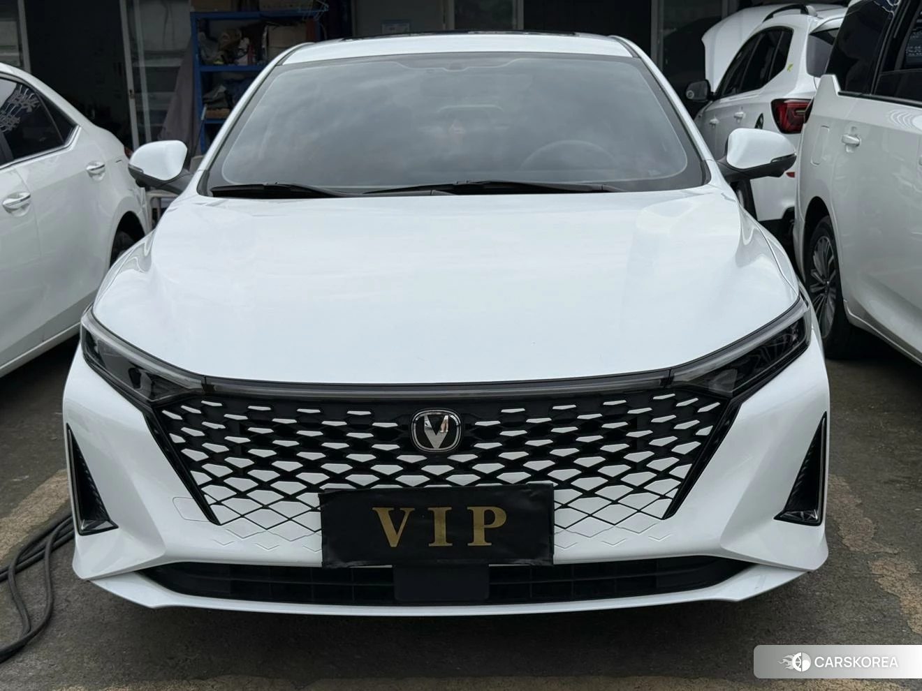 Chang'an Ruicheng PLUS 2022 Белый из Китая