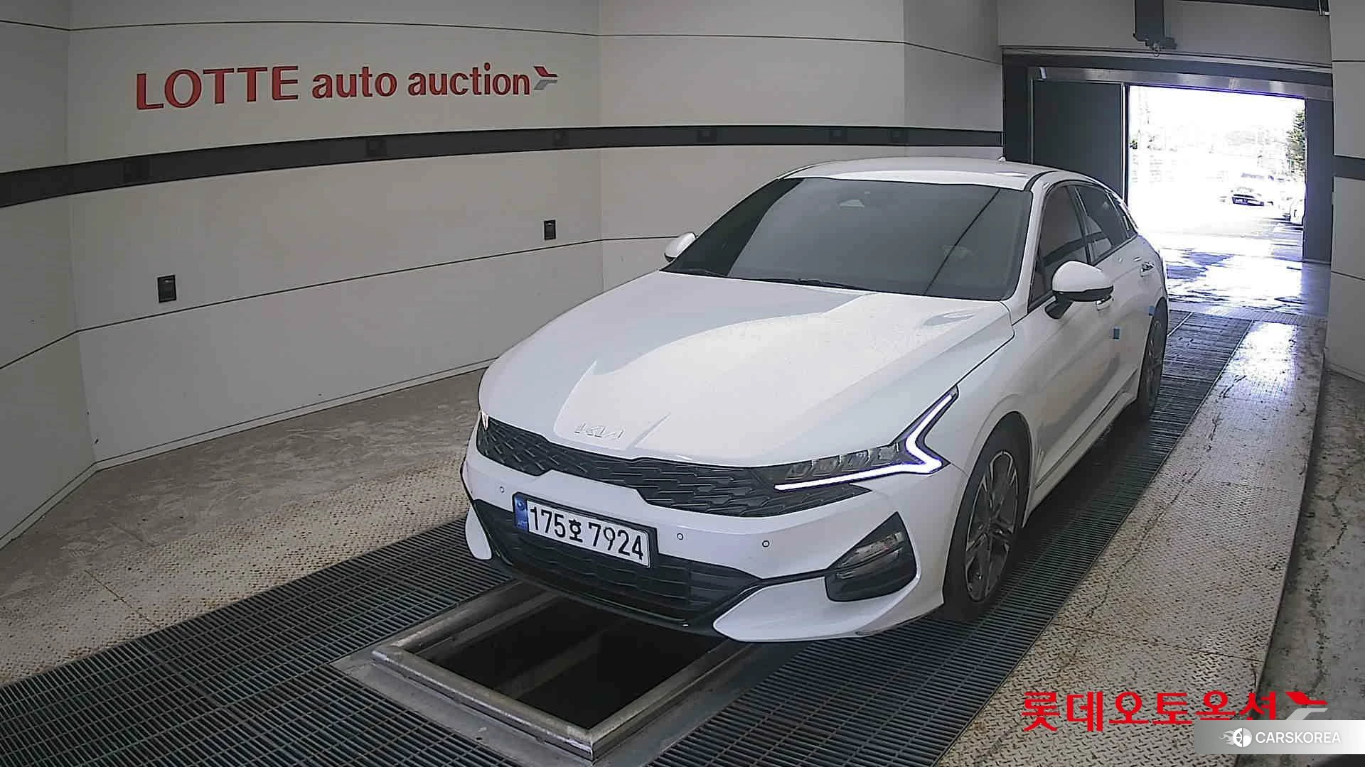 Kia K5 2023 Snow White Pearl из Кореи