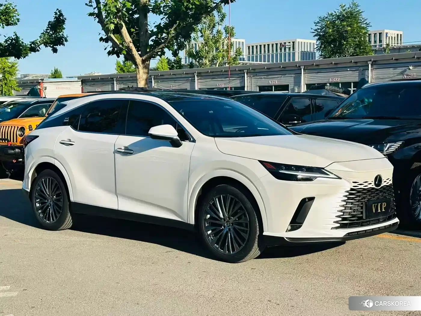 Lexus RX 2023 Белый из Китая