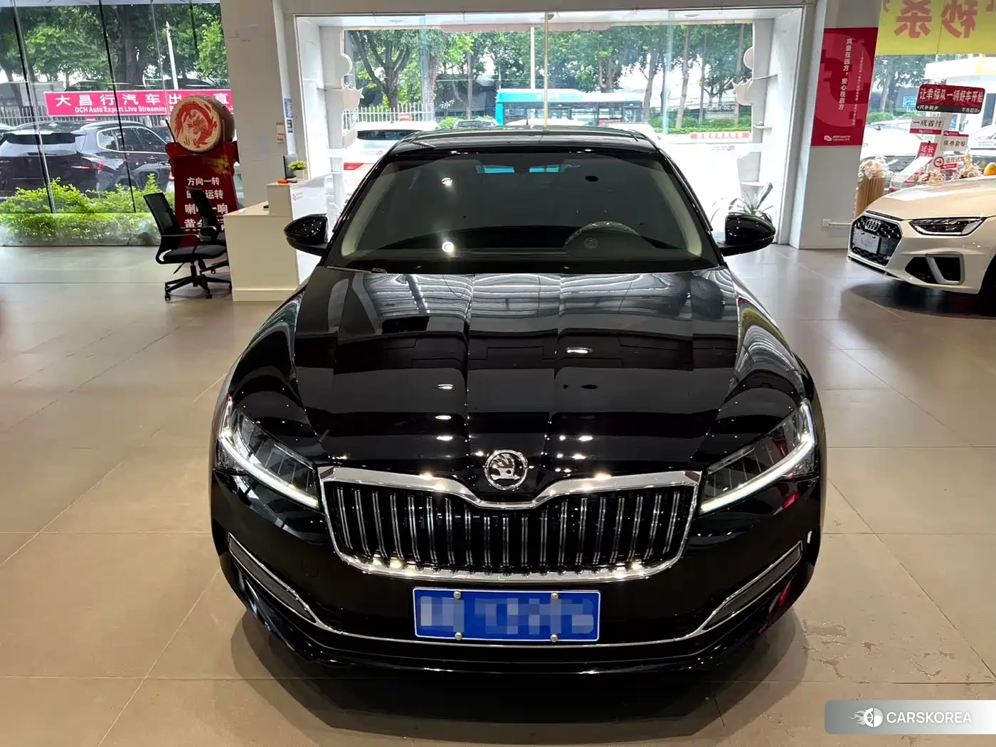 Skoda Speed pie 2023 Черный из Китая