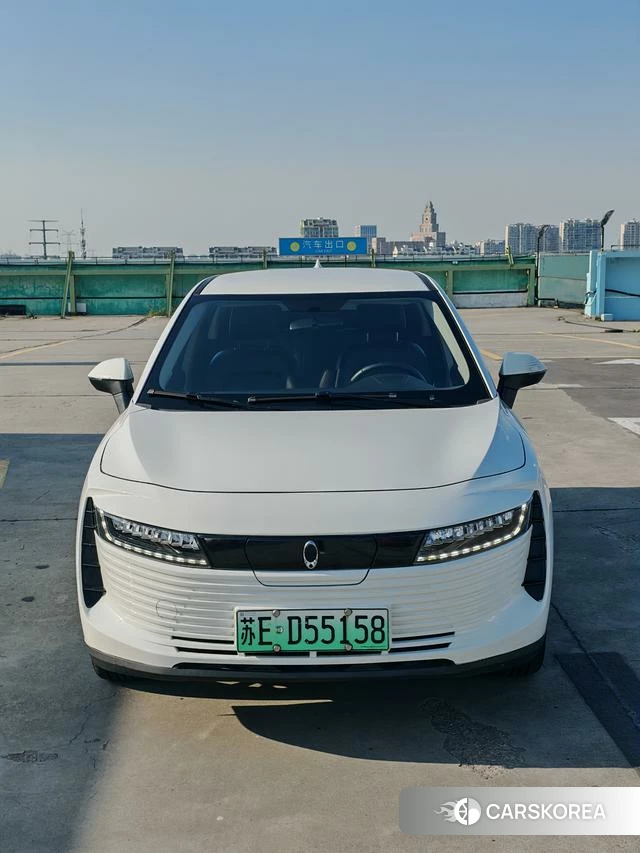 Euler iQ 2020 Белый из Китая