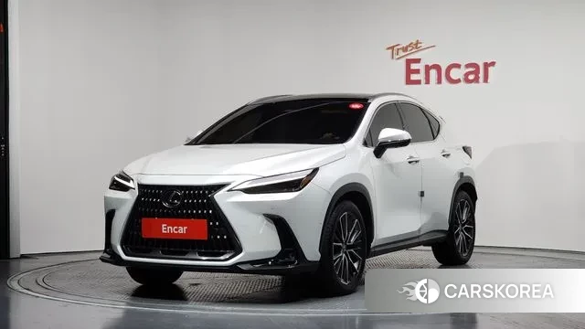 Lexus NX350h Second generation 2024 Белый из Кореи