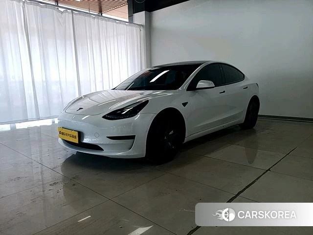 Tesla Model 3 2022 Белый из Китая
