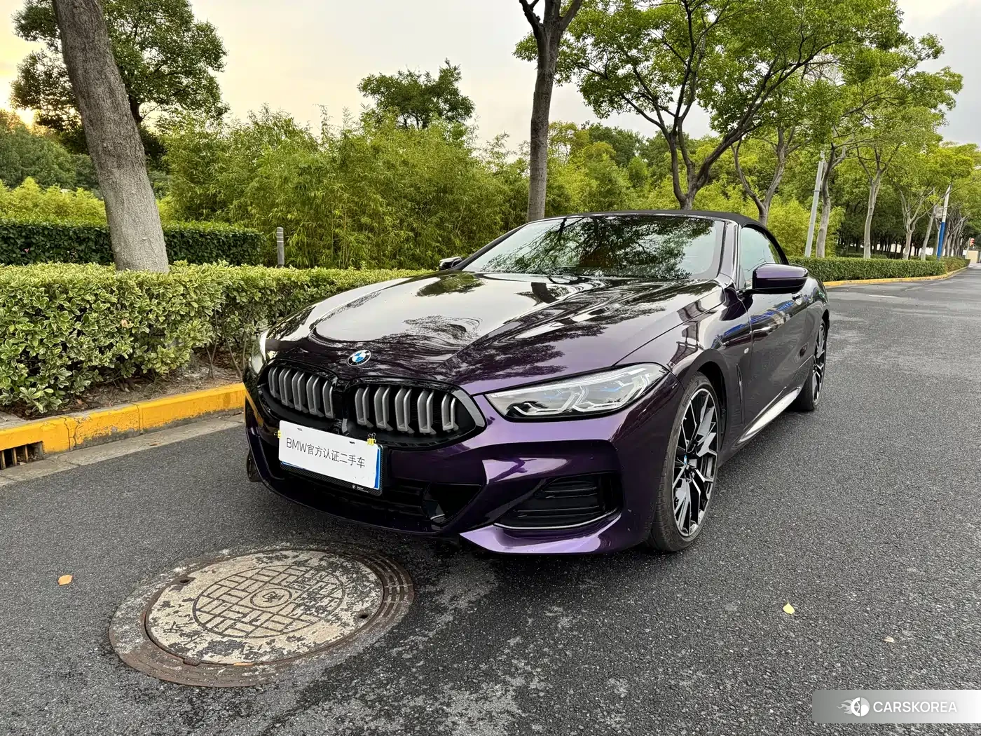 BMW 8 series 2024 Red/purple из Китая
