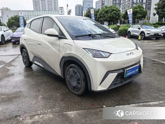 BYD Seagull 2025 Другой из Китая