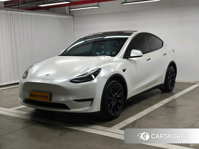 Tesla Model Y 2023 Белый из Китая