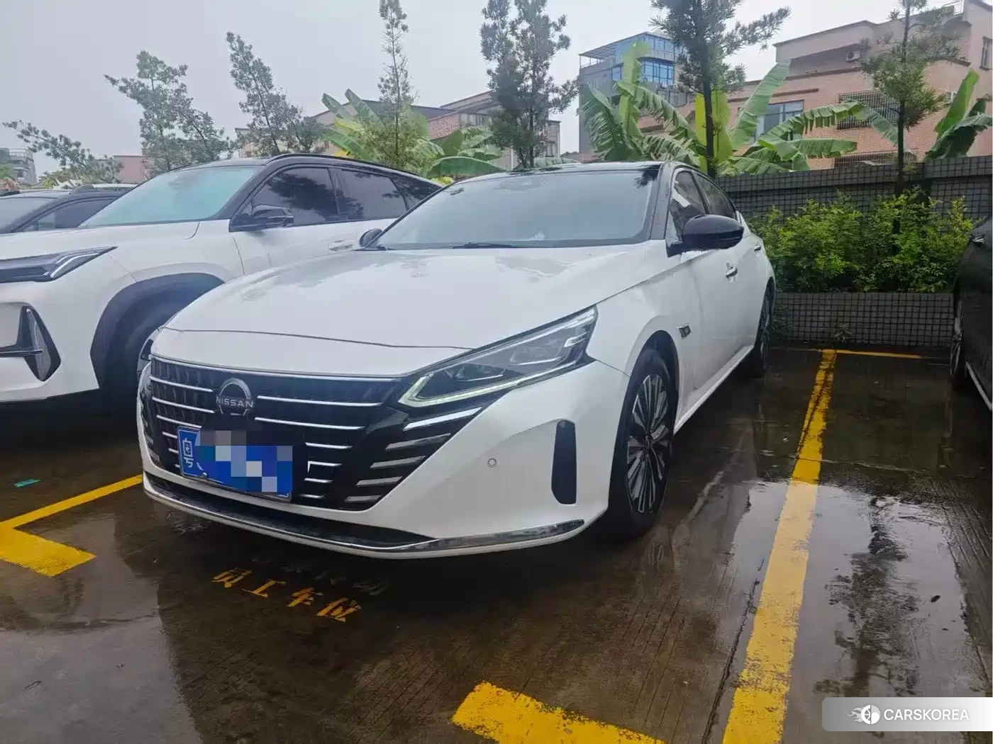 Nissan Altima 2023 Белый из Китая