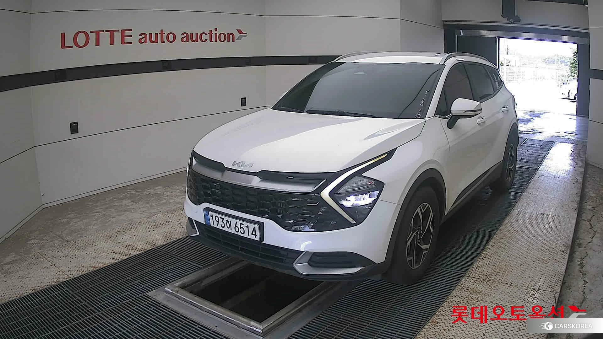 Kia Sportage 2022 Snow White Pearl (optional) из Кореи