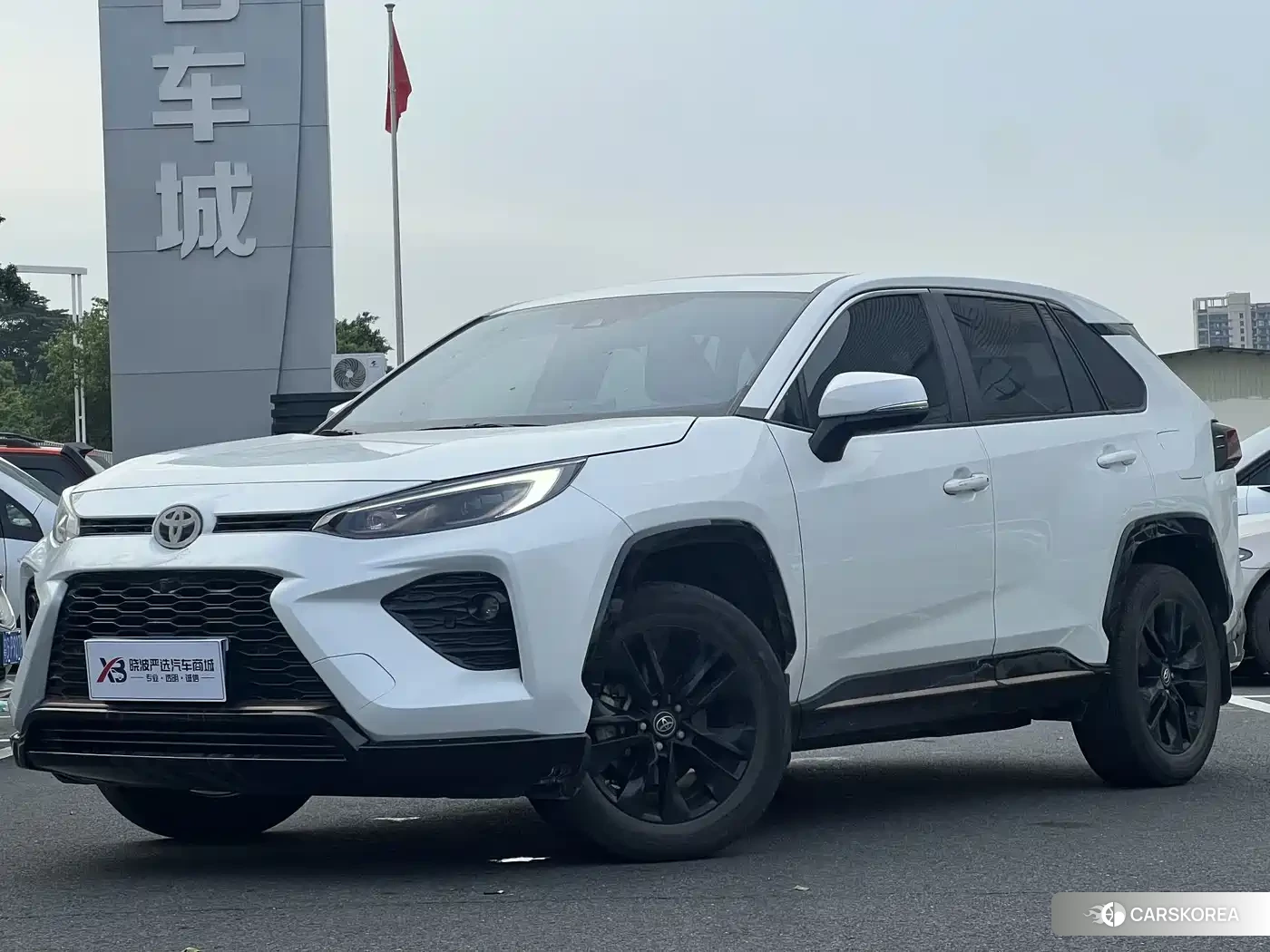 Toyota Wildlander 2022 Белый из Китая
