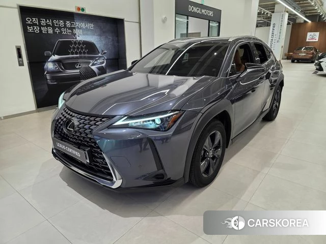 Lexus UX300h 2025 Серый из Кореи