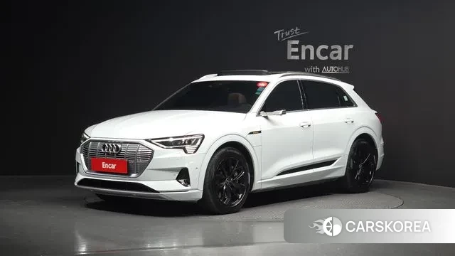 Audi e-Tron 2021 Белый из Кореи