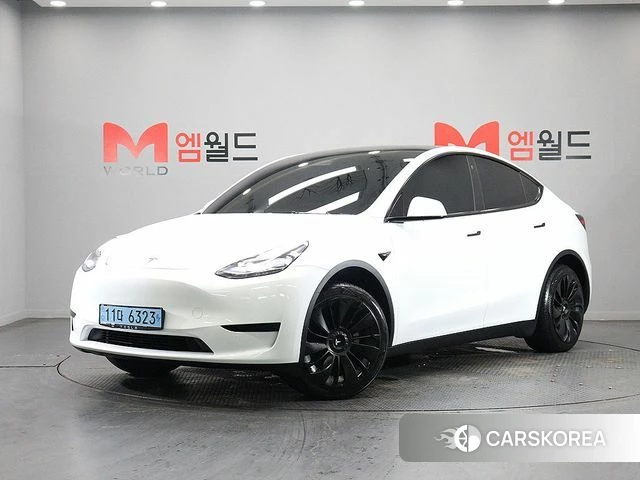 Tesla Model Y 2023 Белый из Кореи