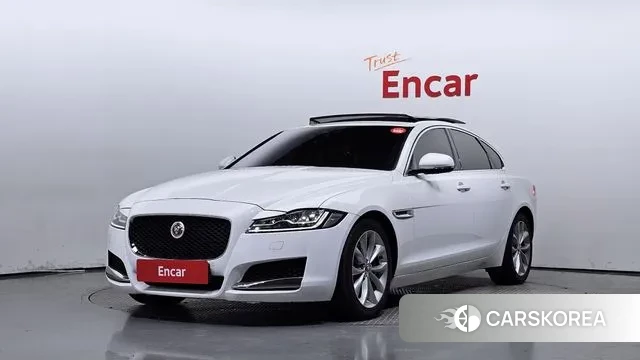 Jaguar XF (X260) 2019 Белый из Кореи