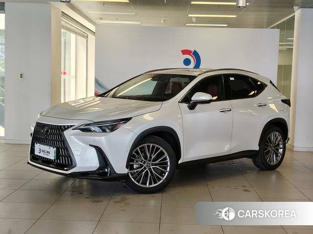Lexus NX PHEV 2022 Белый из Китая