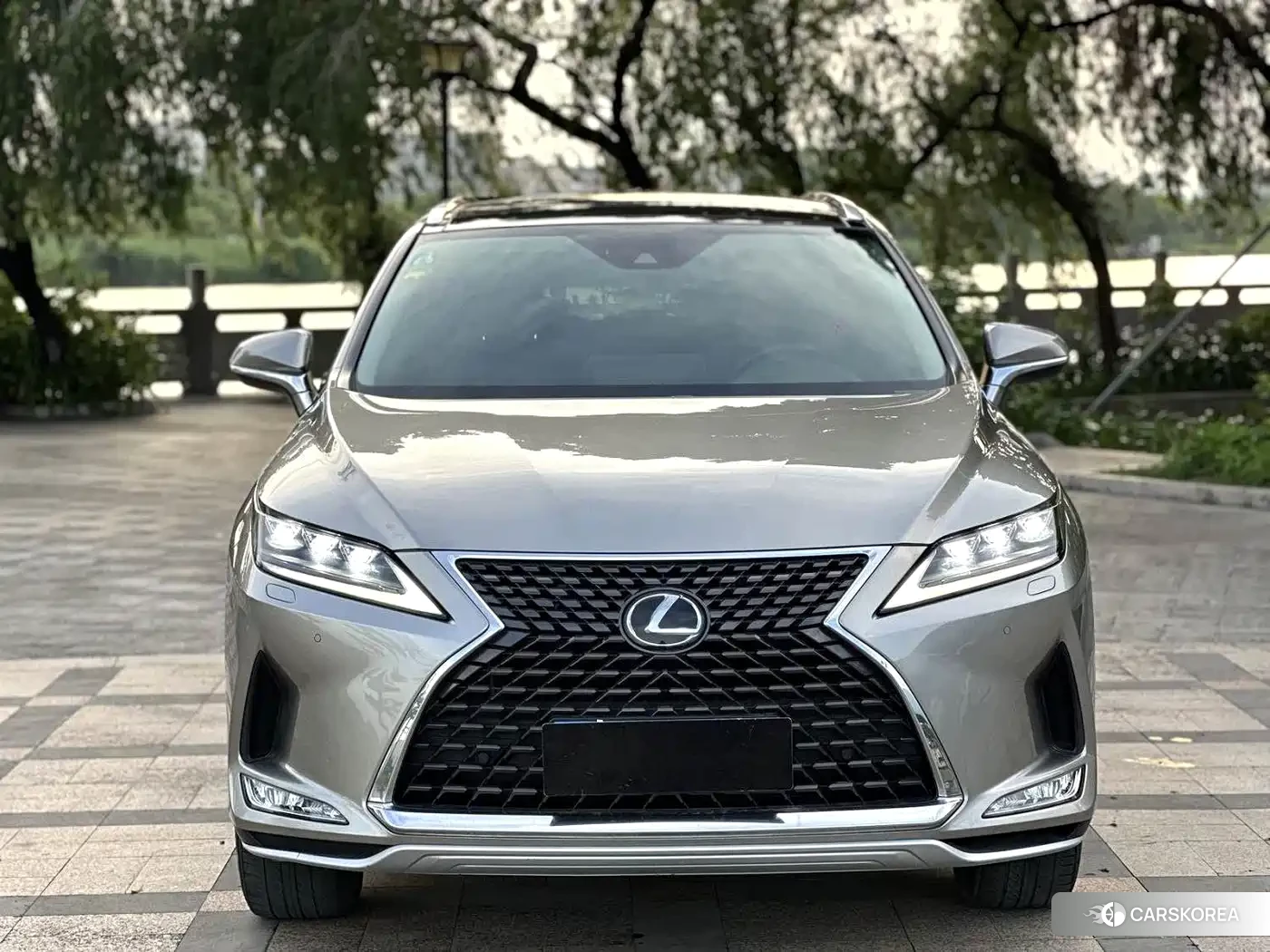Lexus RX 2021 Silver/gray из Китая