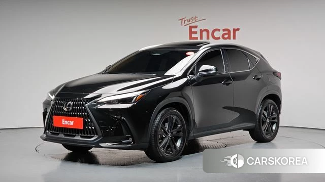 Lexus NX350h Second generation 2025 Серый из Кореи