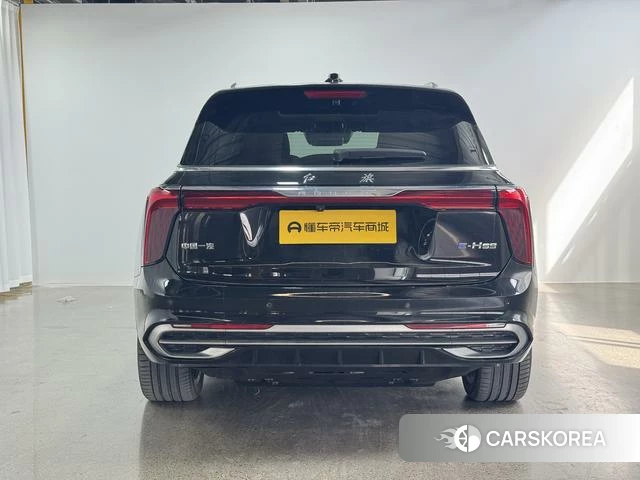 Red flag E-HS9 2023 Черный из Китая