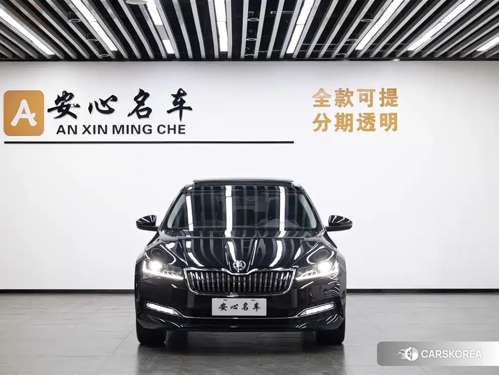 Skoda Speed pie 2024 Черный из Китая