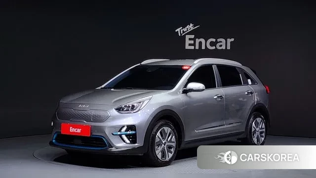 Kia Niro EV 2021 Серый из Кореи