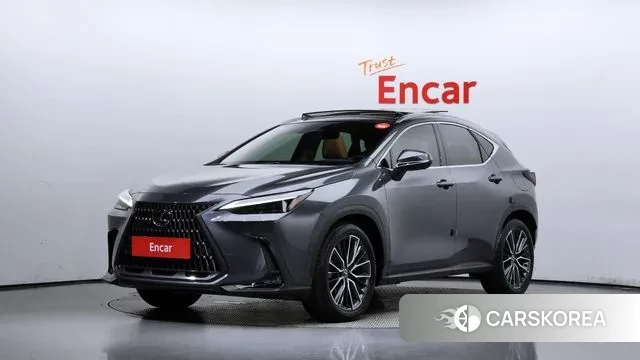 Lexus NX350h Second generation 2023 Серый из Кореи