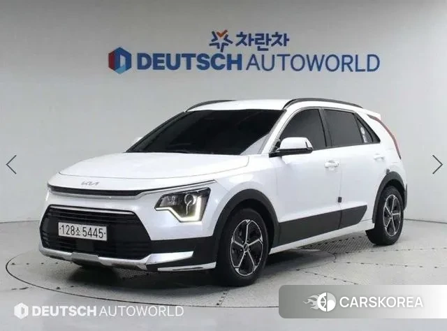 Kia Di Ol Nu Niro 2022 Белый из Кореи