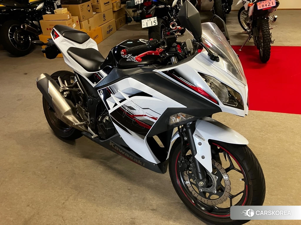 Проданный OTHER Ninja 250 ABS SE 2014 из Японии