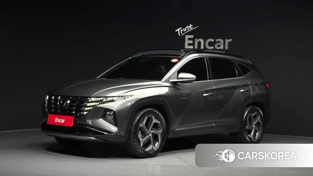 Hyundai Tucson (NX4) 2021 Серый из Кореи