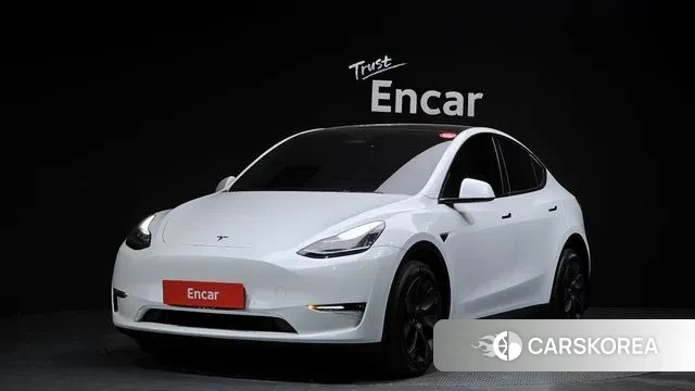 Tesla Model Y 2022 Белый из Кореи