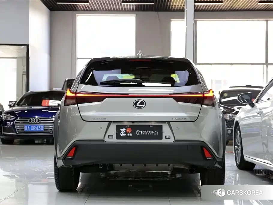 Lexus UX 2022 Silver/gray из Китая