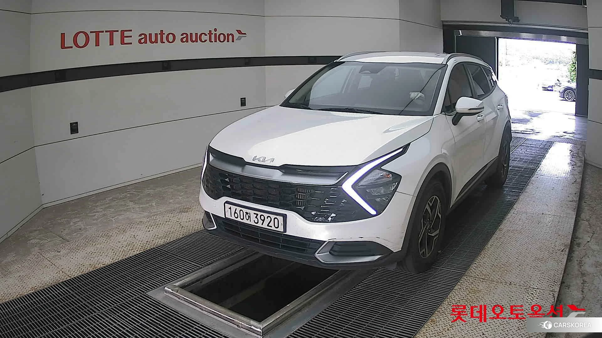 Kia Sportage 2022 Snow White Pearl (optional) из Кореи