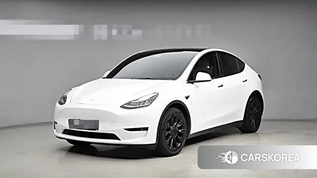 Tesla Model Y 2021 Белый из Кореи
