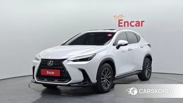 Lexus NX450h + 2nd generation 2023 Белый из Кореи