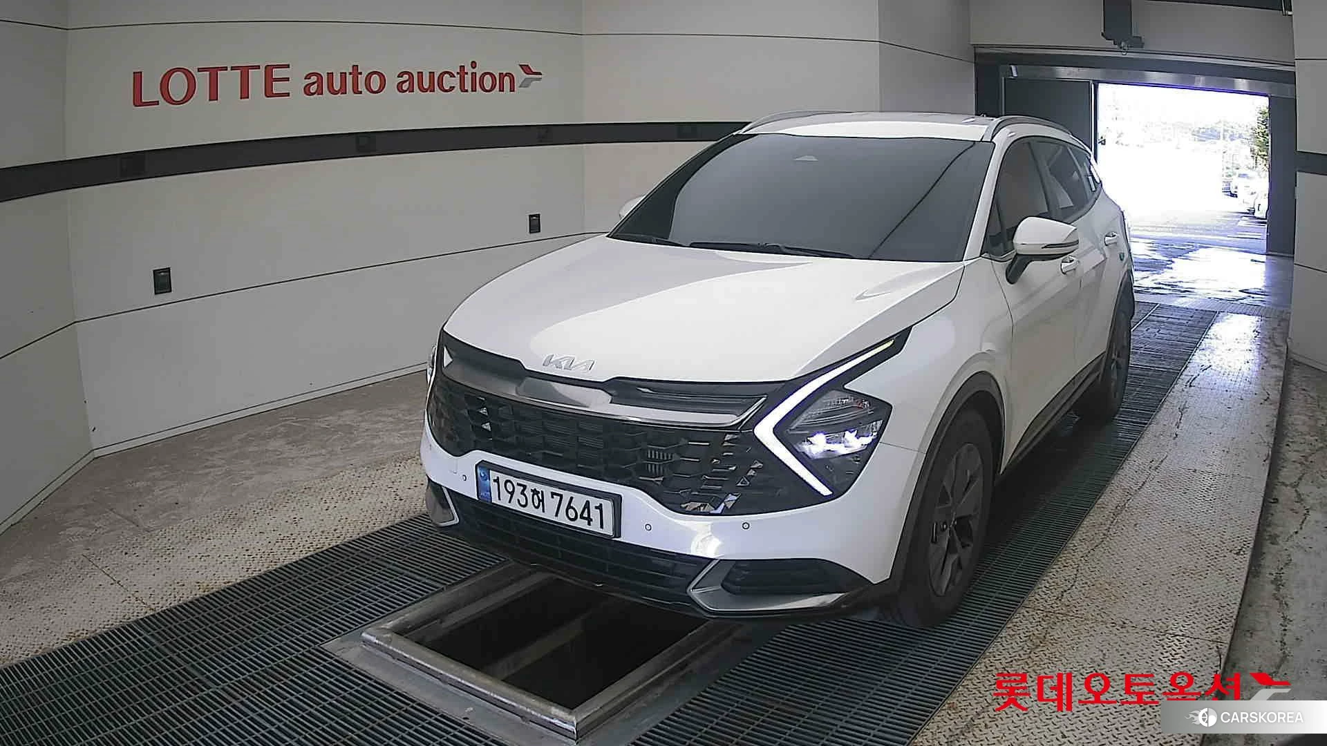 Kia Sportage 2023 Snow White Pearl (optional) из Кореи