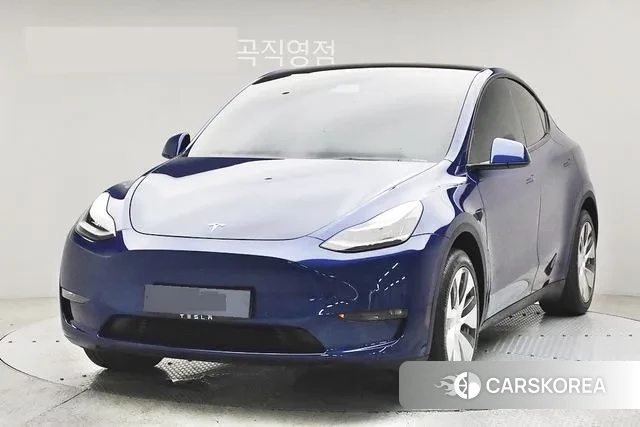 Tesla Model Y 2021 Синий из Кореи