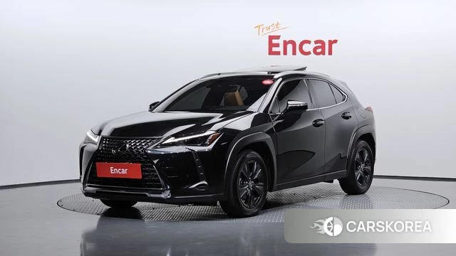 Lexus UX250h 2023 Серый из Кореи