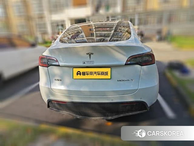 Tesla Model Y 2021 Белый из Китая