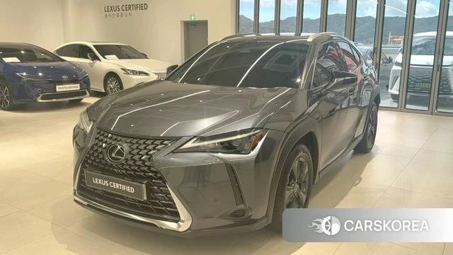 Lexus UX300h 2025 Серый из Кореи